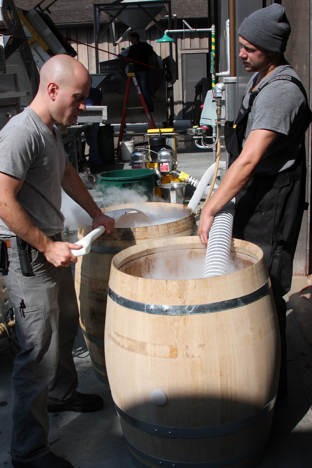 Grape Darlings | Ram's Gate Winery Ramblings
