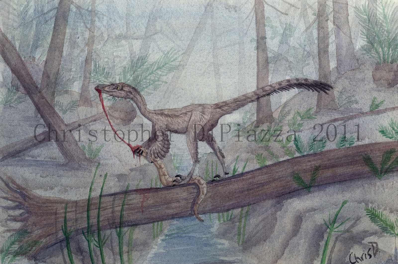 Troodon Body Prehistoric Beast of the Week: Troodon: Prehistoric Animal of the Week
