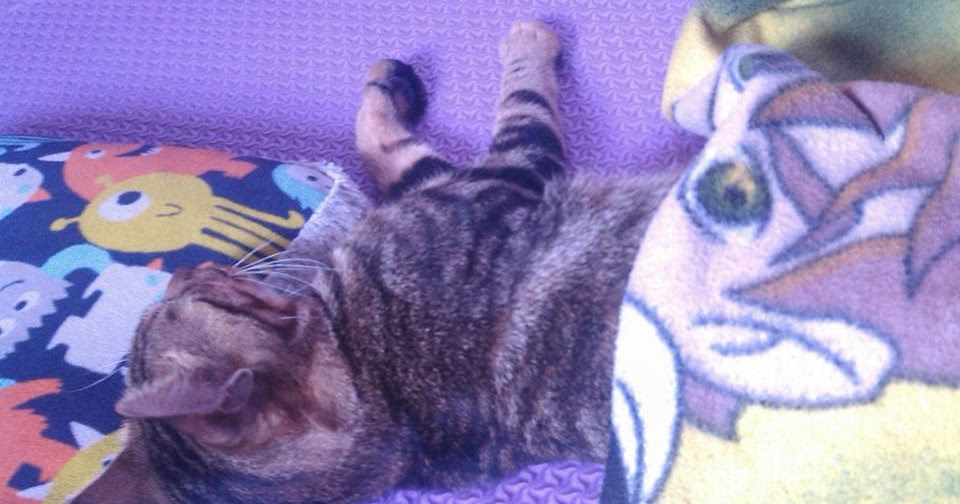 Знак don't smoke. Косая черта 320132. Don t remove. Фото чёрный экран с надписью. Don t smoking.