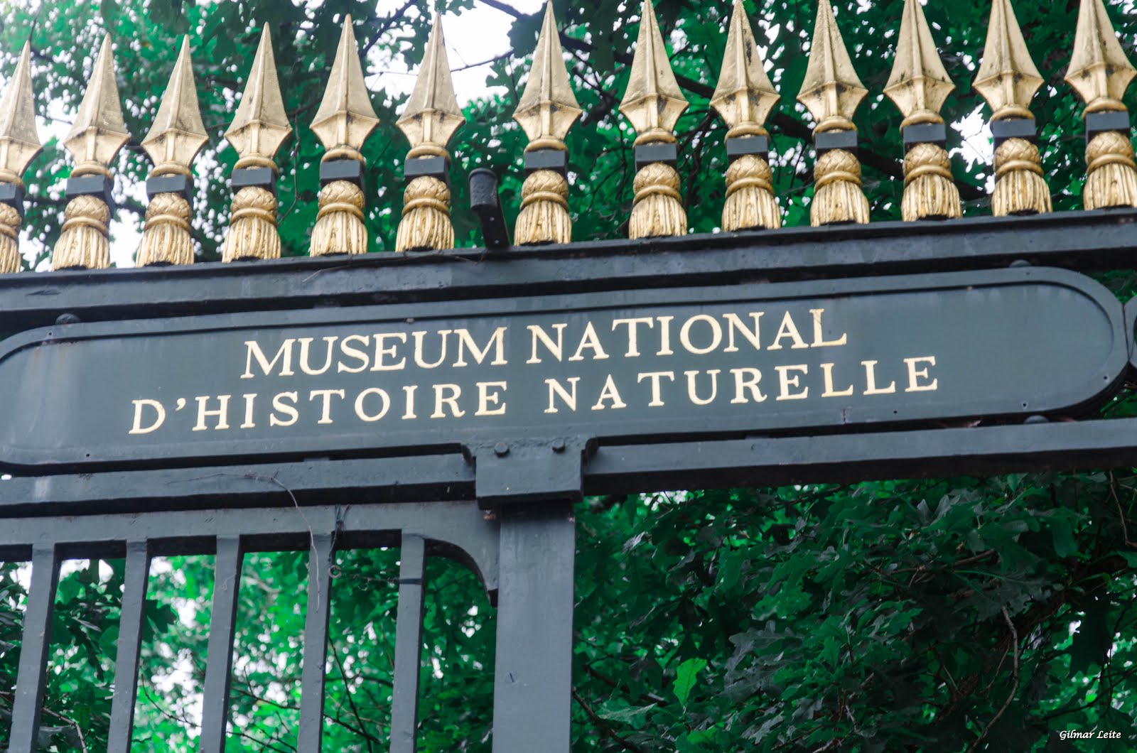 MUSEU DA HISTÓRIA NATURAL  - PARIS
