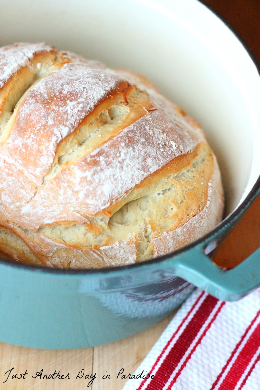 Dutch Oven Artisan White Bread 