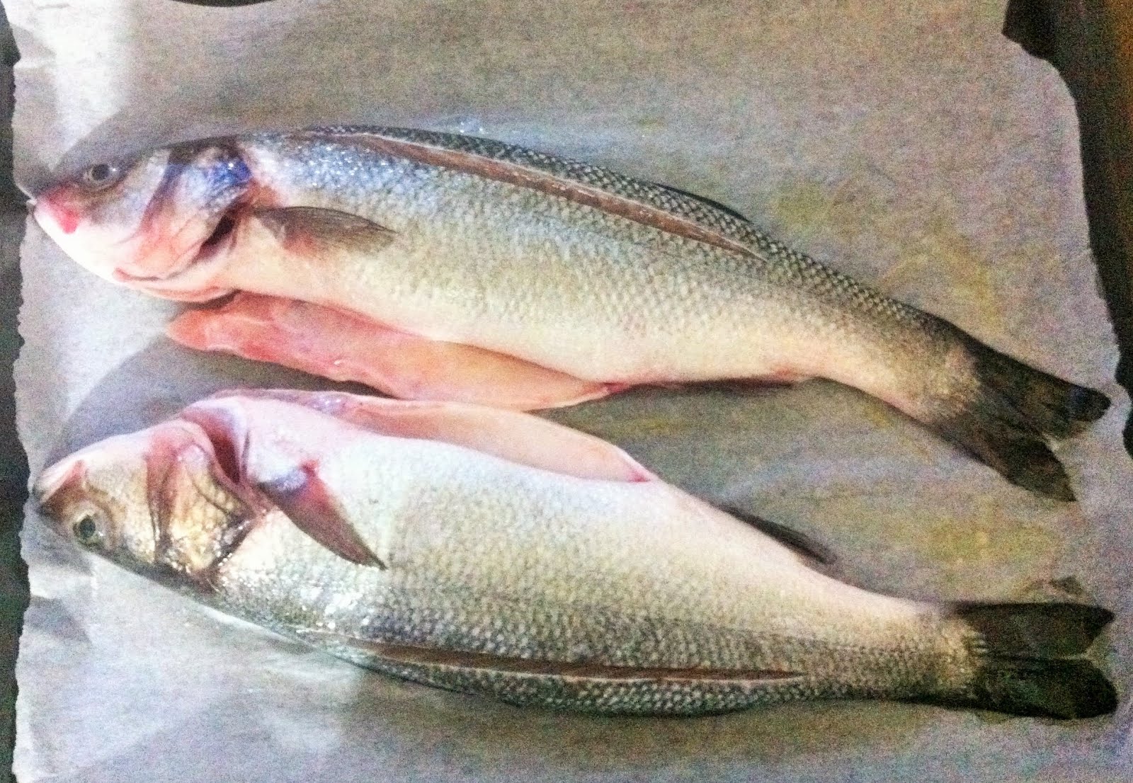 b�s life. neden yemek yiyoruz?