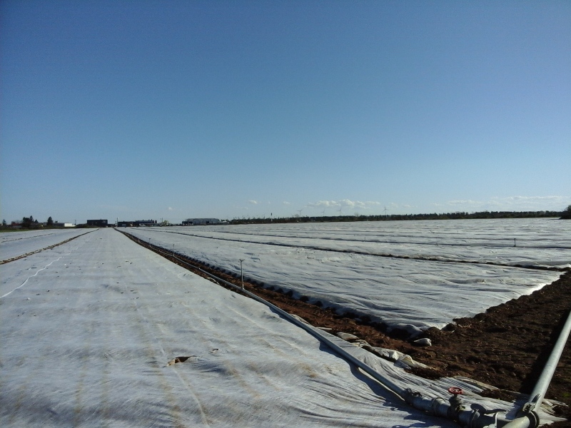 Wanderland Austria Mai 2018