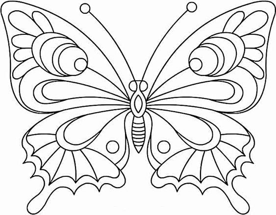 Tranh tô màu con bướm sinh động
