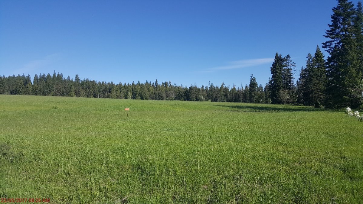 Northwest National Real Estate SOLD! 20 Acres Bordering State Land Hay