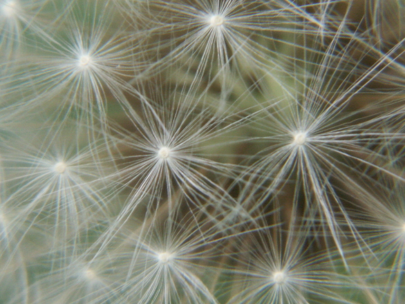 Jak zamienić sterydy skutki w sukces?