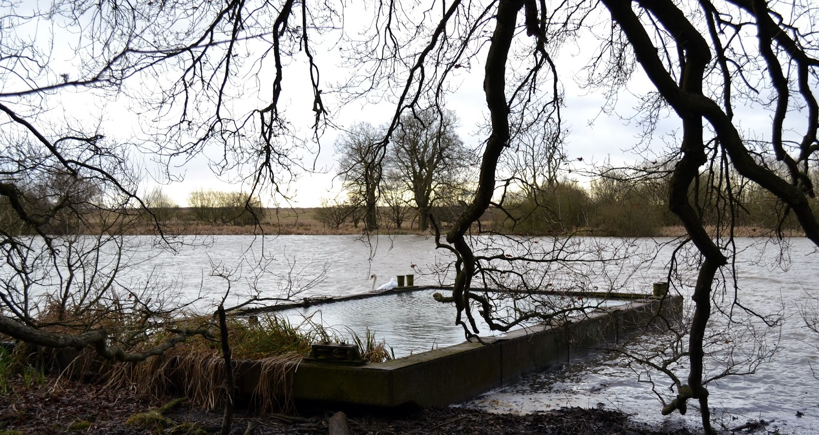 Today Around Coventry Wildlife Paddling Pool