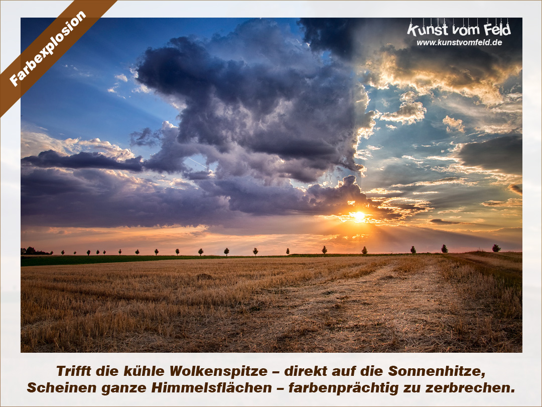 Kokelores Kunst Kitsch Katzen Killercats Und Killer Dusche