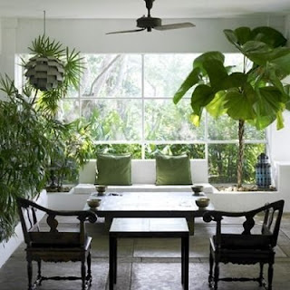 Tanaman Dalam Ruangan Rumah Minimalis Modern Tanaman Dalam Ruangan Rumah Minimalis Modern, Tanaman Rumah Minimalis, Tanaman Dalam Rumah, Tanaman Hias Rumah Minimalis,