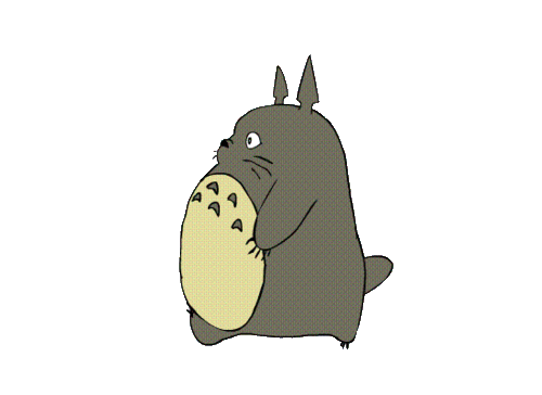 ¡Totoro!