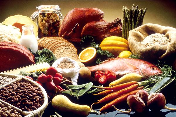 makanan bergizi makanan bergizi