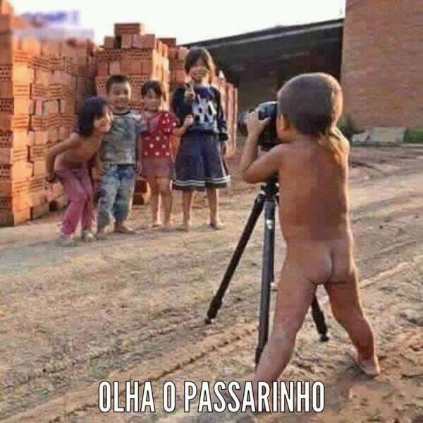 OLHA O PASSARINHO