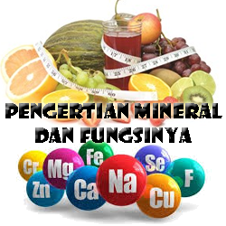  mineral merupakan sesuatu yang mempunyai banyak manfaat bagi tubuh kita Pengertian Mineral dan Fungsi Mineral