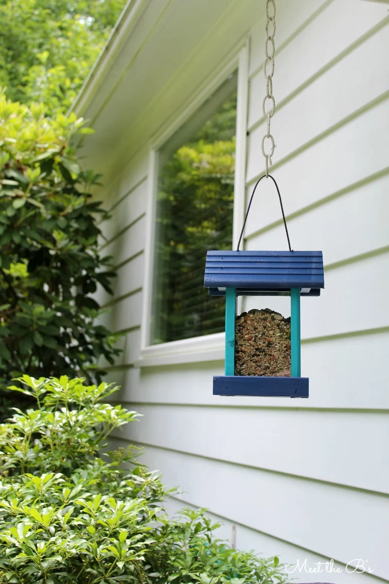 Easy painted bird feeder | Meet the B's