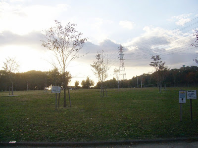 寝屋川公園 芝生広場 バーベキュー指定区域