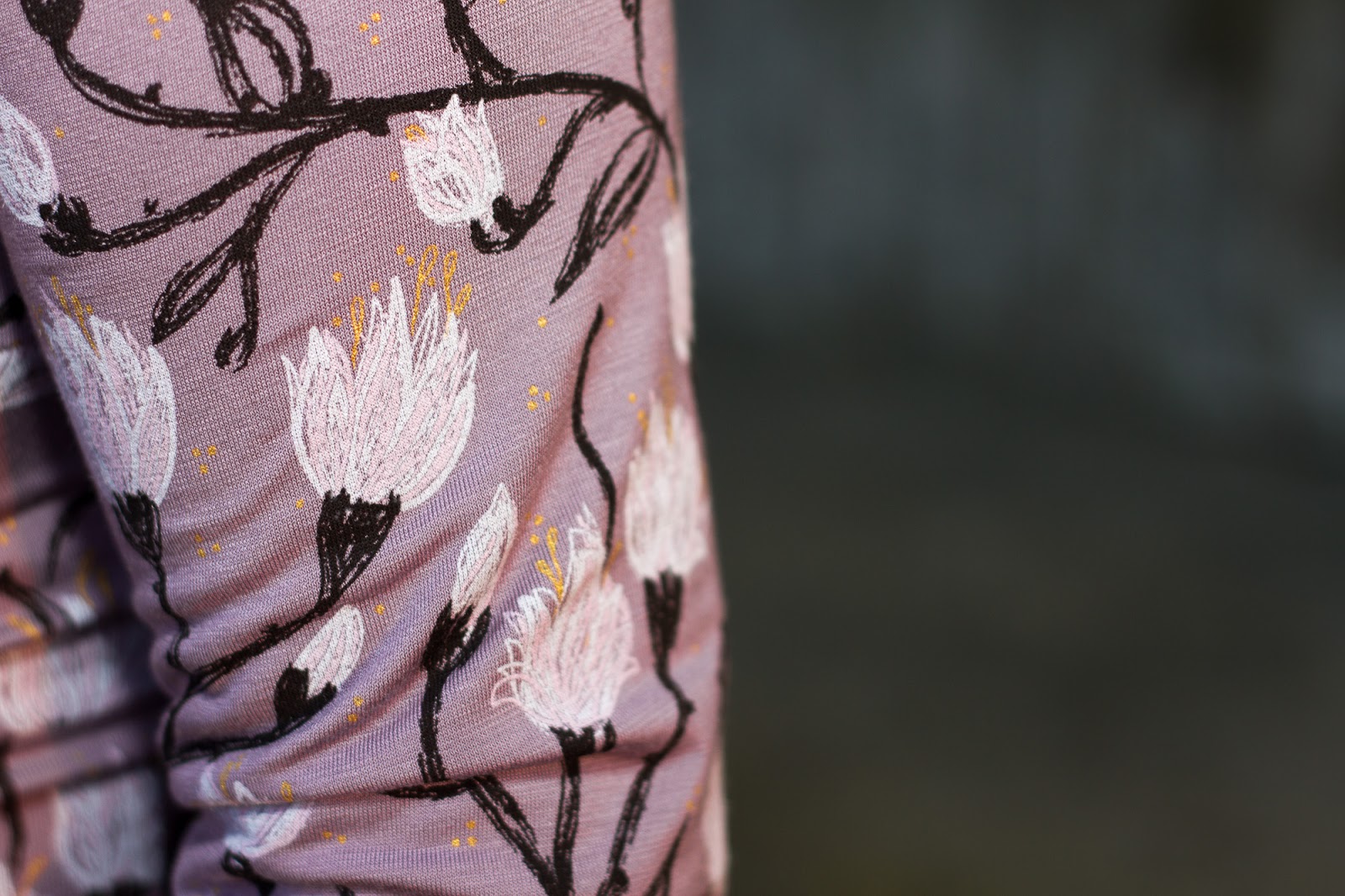 Veranstaltungsberichte Kontakt Bpawps Webseite