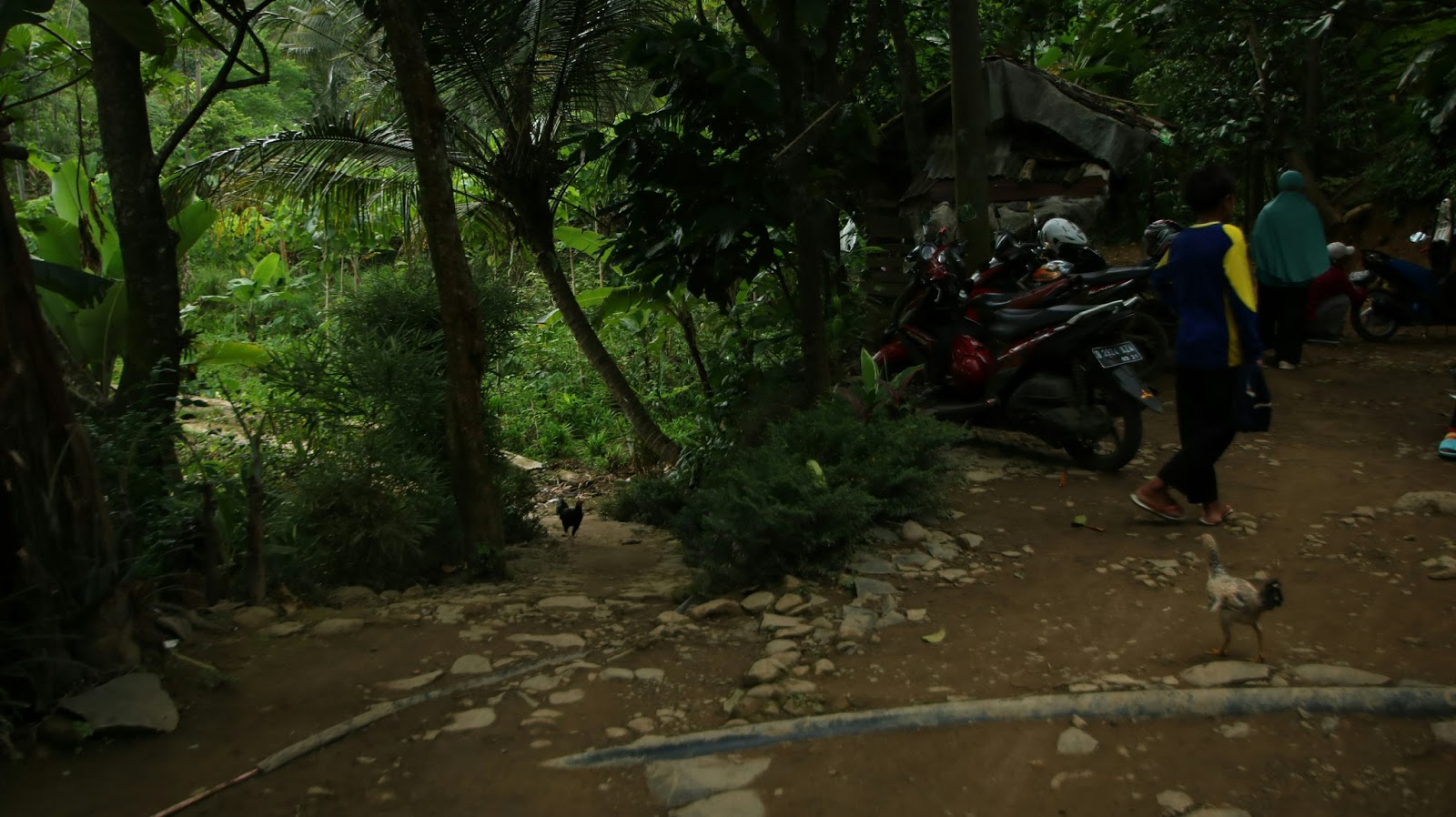 Curug Handeleum dan Leuwi Asih-Destinasi Wisata Baru di ...