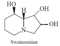 Castanospermine