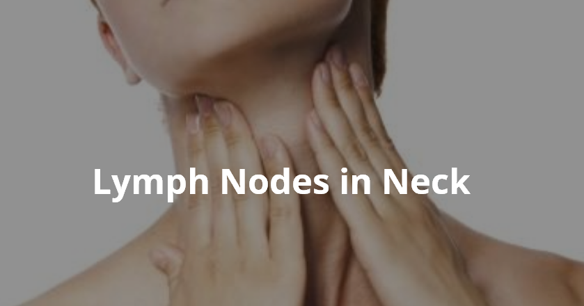 Where are lymph nodes located in neck - gilithope
