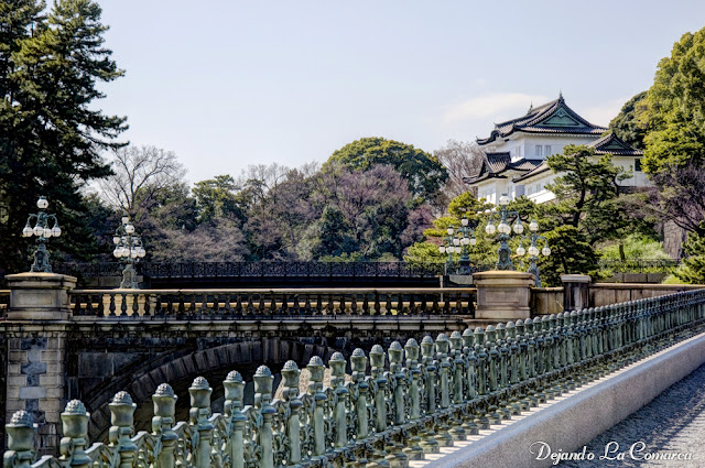 Japón primavera 2016 - 18 días (con bajo presupuesto) - Blogs de Japon - Día 3 - Palacio Imperial - Tokyo Tower - Harajuku (3)