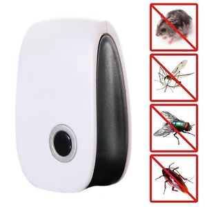 Pantas Saja Tikus Masih Berkeliaran Dirumah 5 Cara Ini Tidak Pernah Diterapkan Dirumah Pantas Saja Tikus Masih Berkeliaran Dirumah 5 Cara Ini Tidak Pernah Diterapkan Dirumah