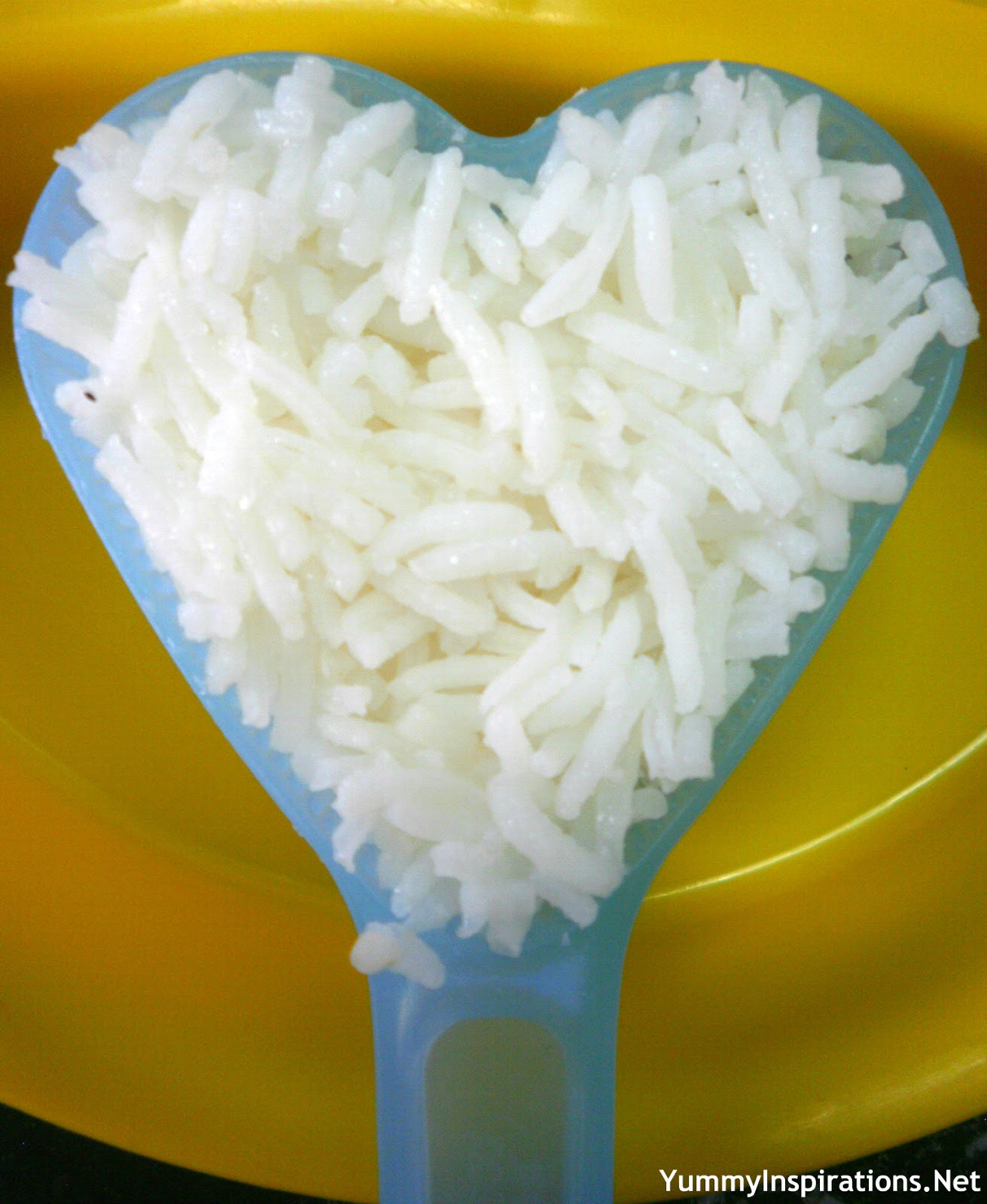Top 101+ Images what does mold on uncooked rice look like Excellent
