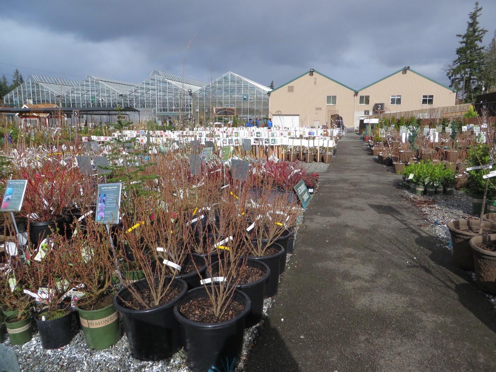 Nursery Visit Sky Nursery Seattle