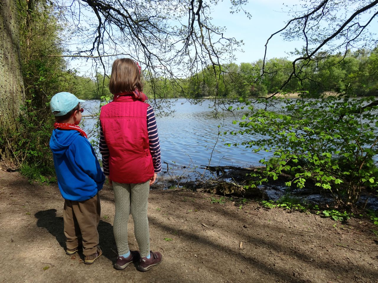 Frische Brise Am Bredenbeker Teich