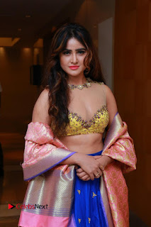 Actress Model Sony Charista Latest Pos in Lehenga Choli  0020
