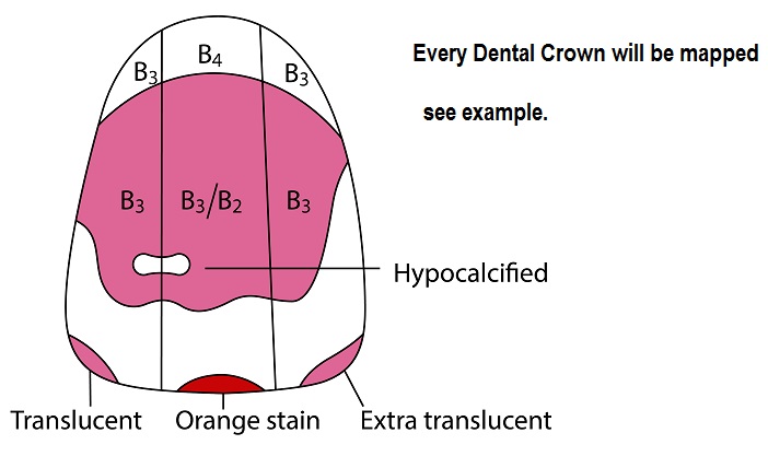 dentist mapped dentist mapped