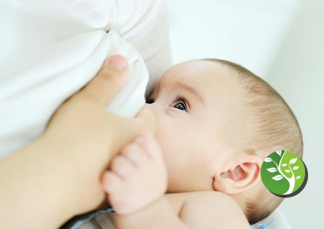 La leche materna ofrece protección natural contra infecciones bacterianas
