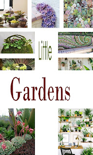 Little Gardens - Pinterest Gardening