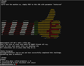 Echo 0xhat Security January 19