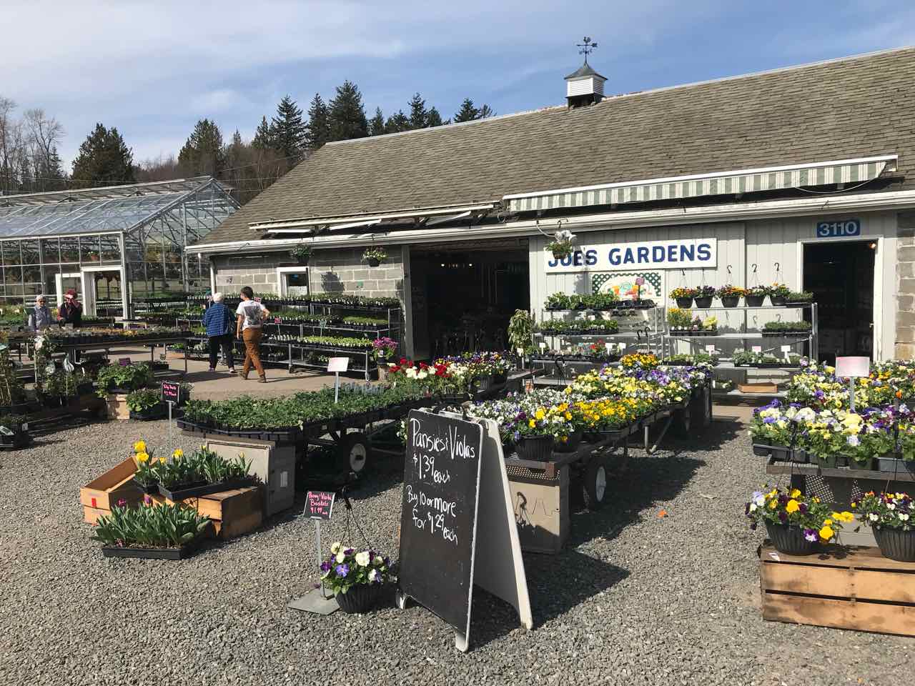 DJanity Joe's Garden