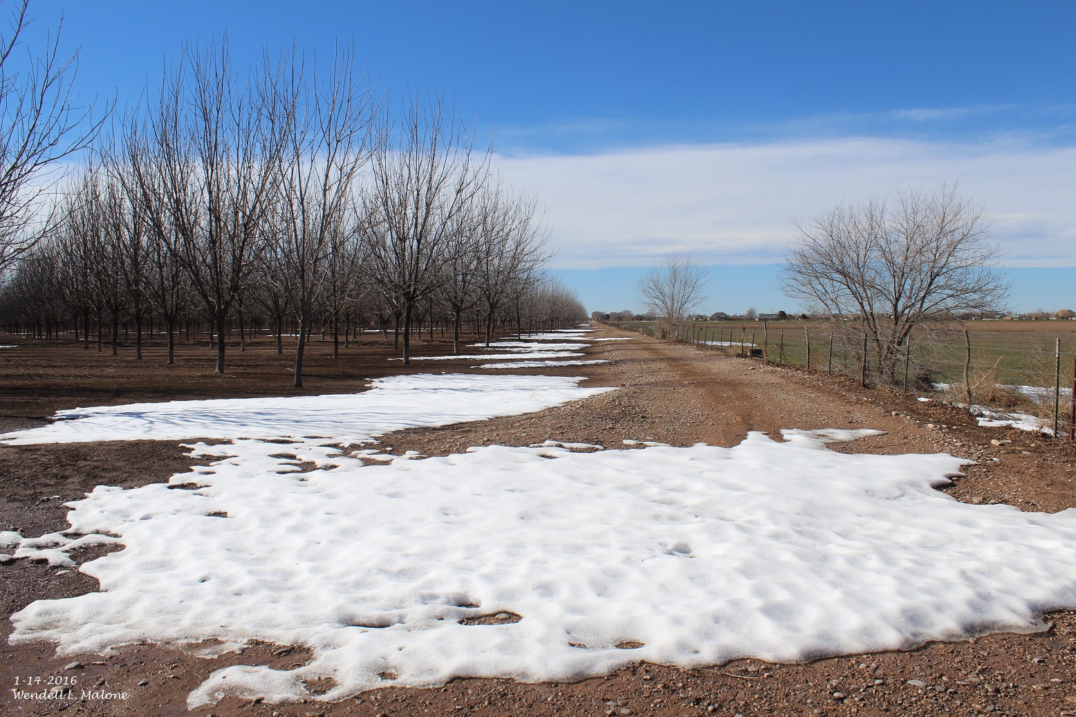 Two Days Short Of 3 Weeks & Its Still Here In Artesia.