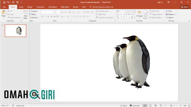 Menghapus Background Foto Dengan Powerpoint hasil 3 pinguin setelah di keep change