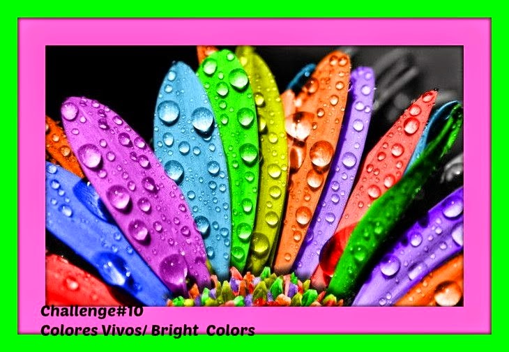Colores vivos Un poco para compartir