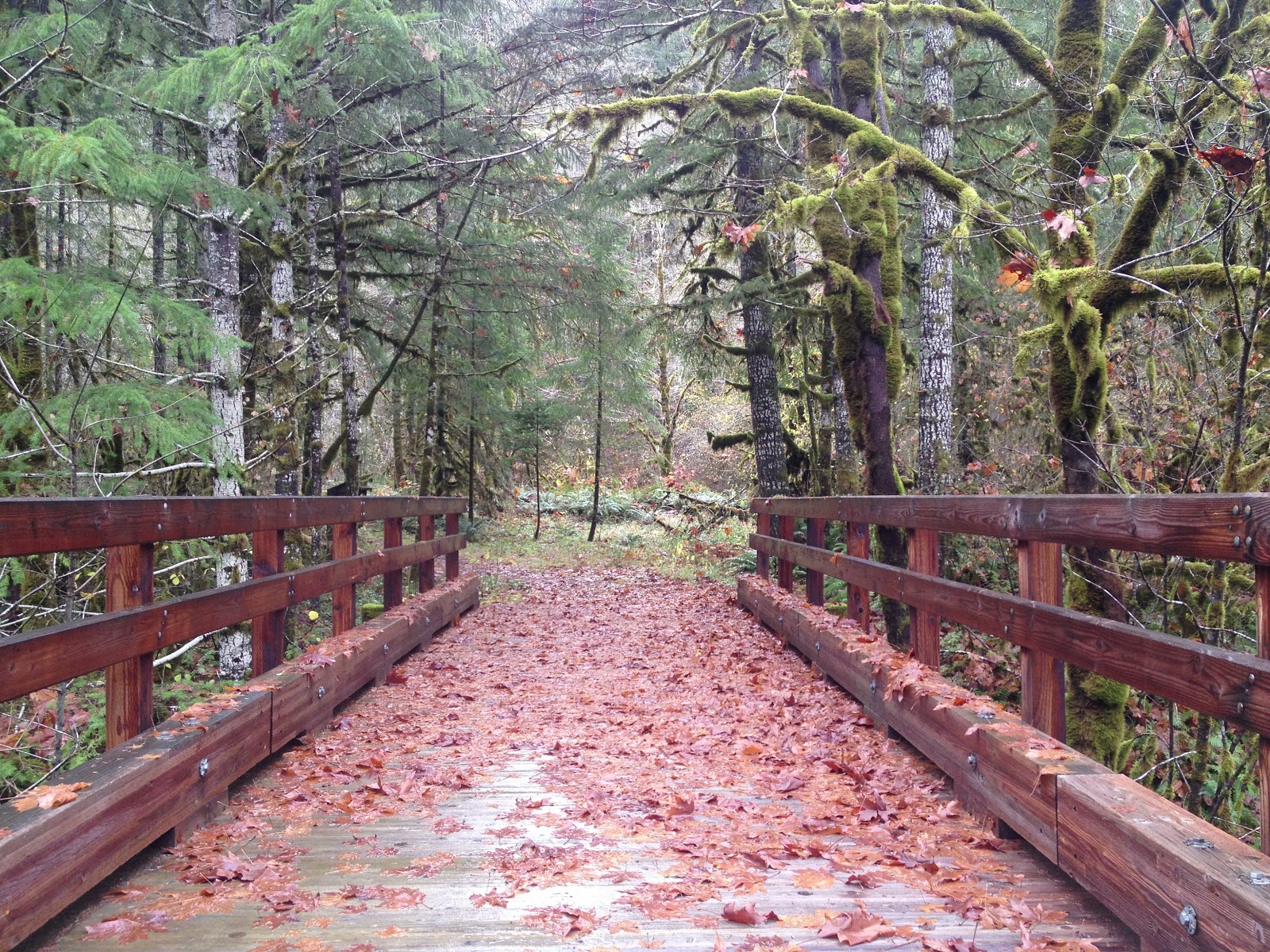 Santiam Wagon Road Mountain House to House Rock Falls