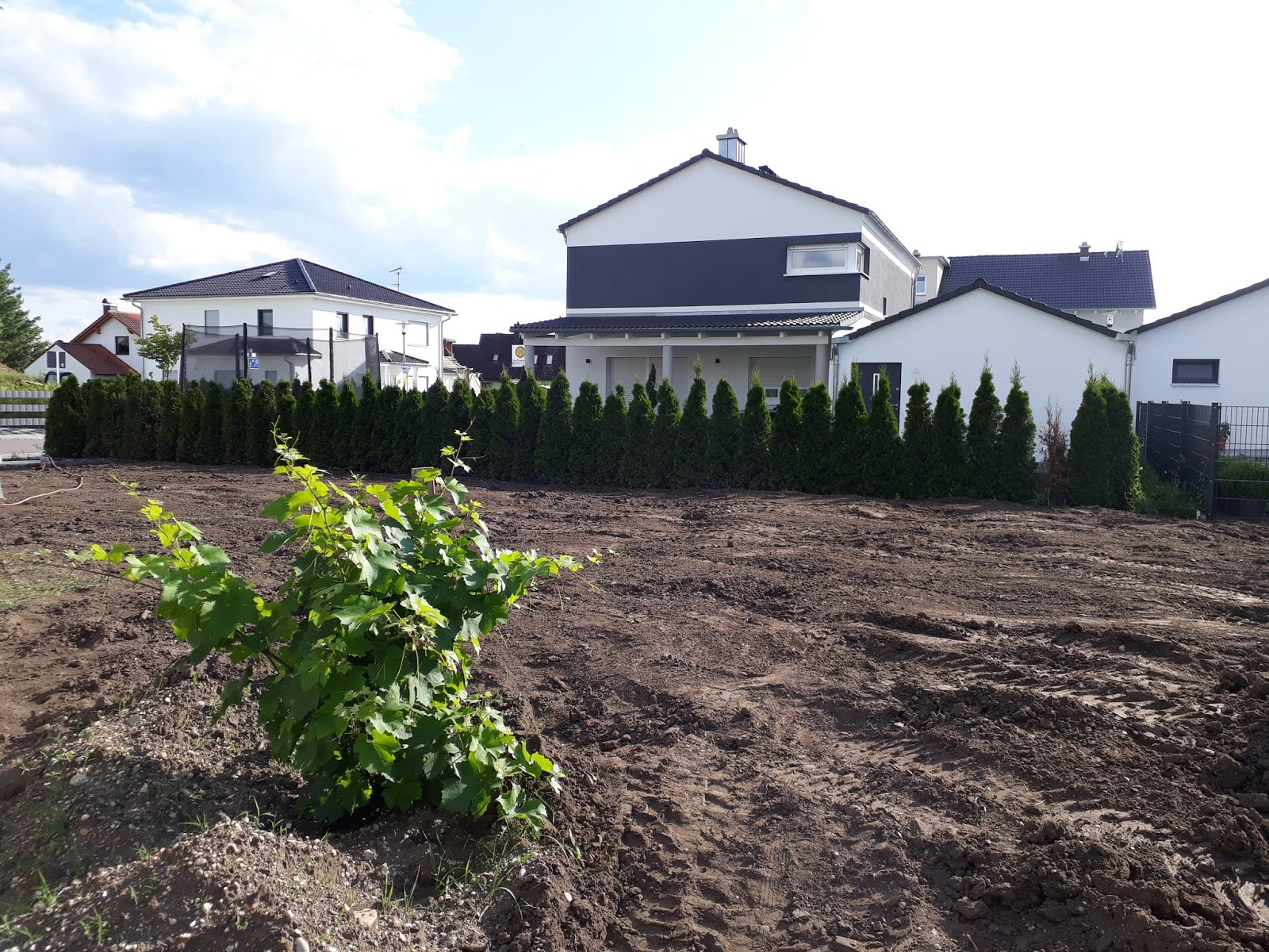 Bauvorhaben 2016 2017 Mit Danwood Altbayern Giglberger