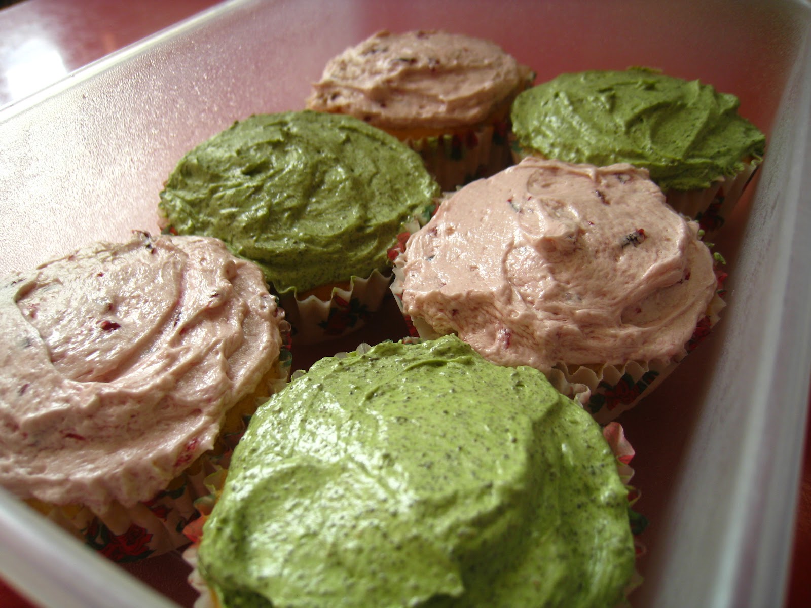 Sweet Wish Bakery Frosted Cupcakes