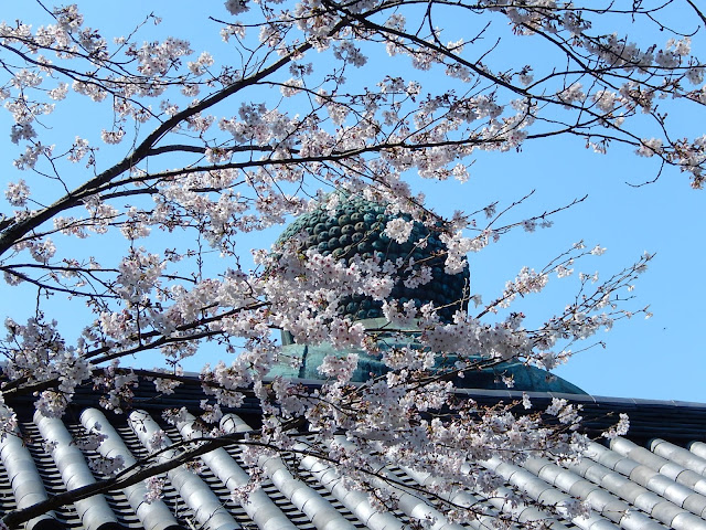 ���q�啧�̍�