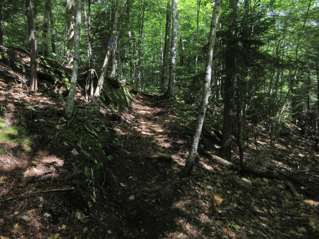 Mountain Wandering FLAT MOUNTAIN POND RAMBLE 7/26/17