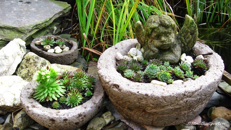 Gartenbuddelei: Zeig uns Deinen Garten! Heute: Der Garten von Kathinka