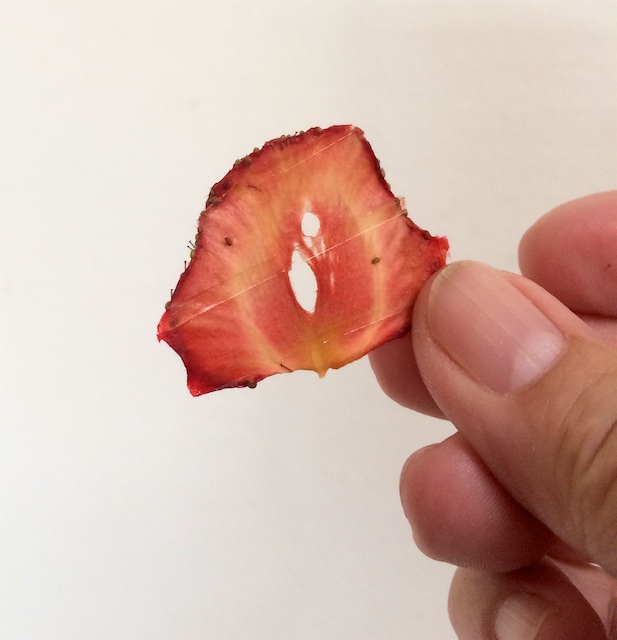 Prostmahlzeit: Joghurt mit Sprossen und Dreierlei von der Erdbeere