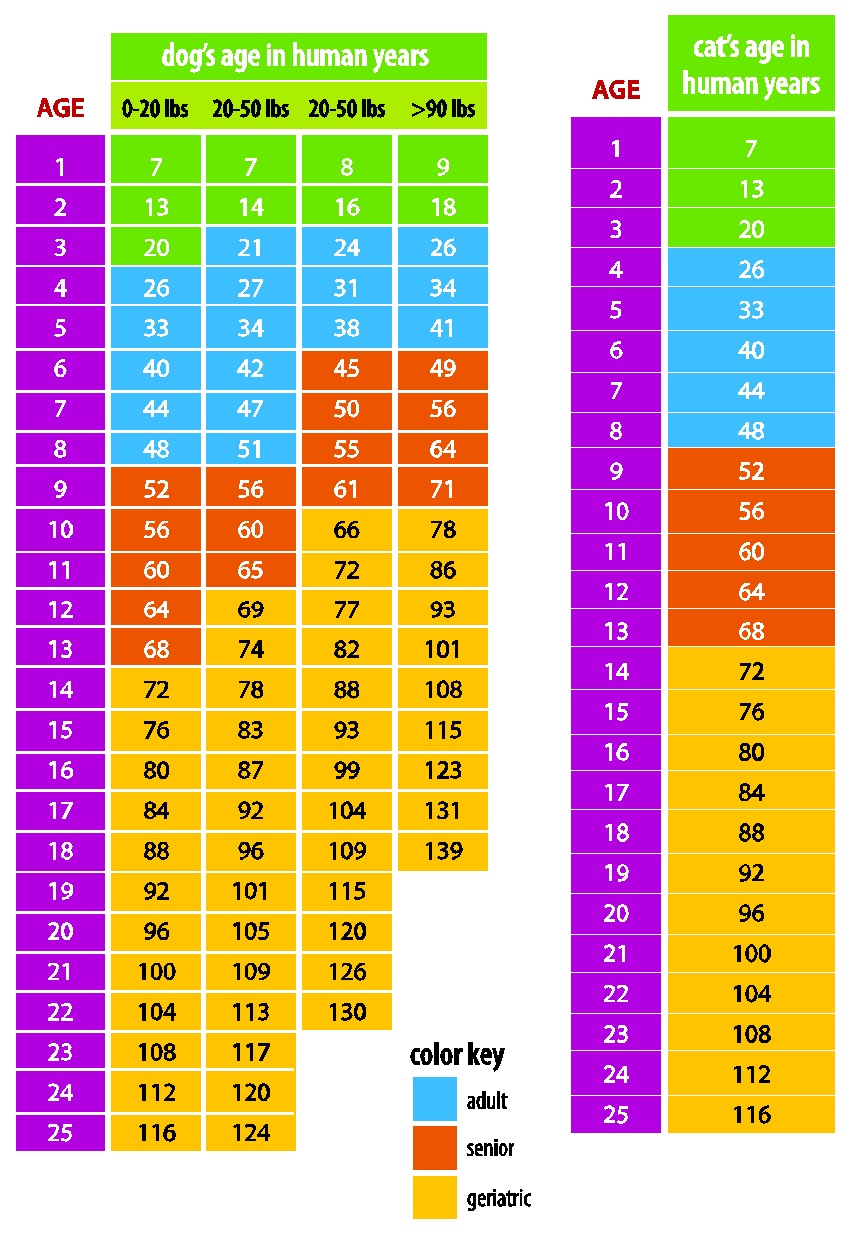 Affordable Pet Care N.W. Pet Age Chart