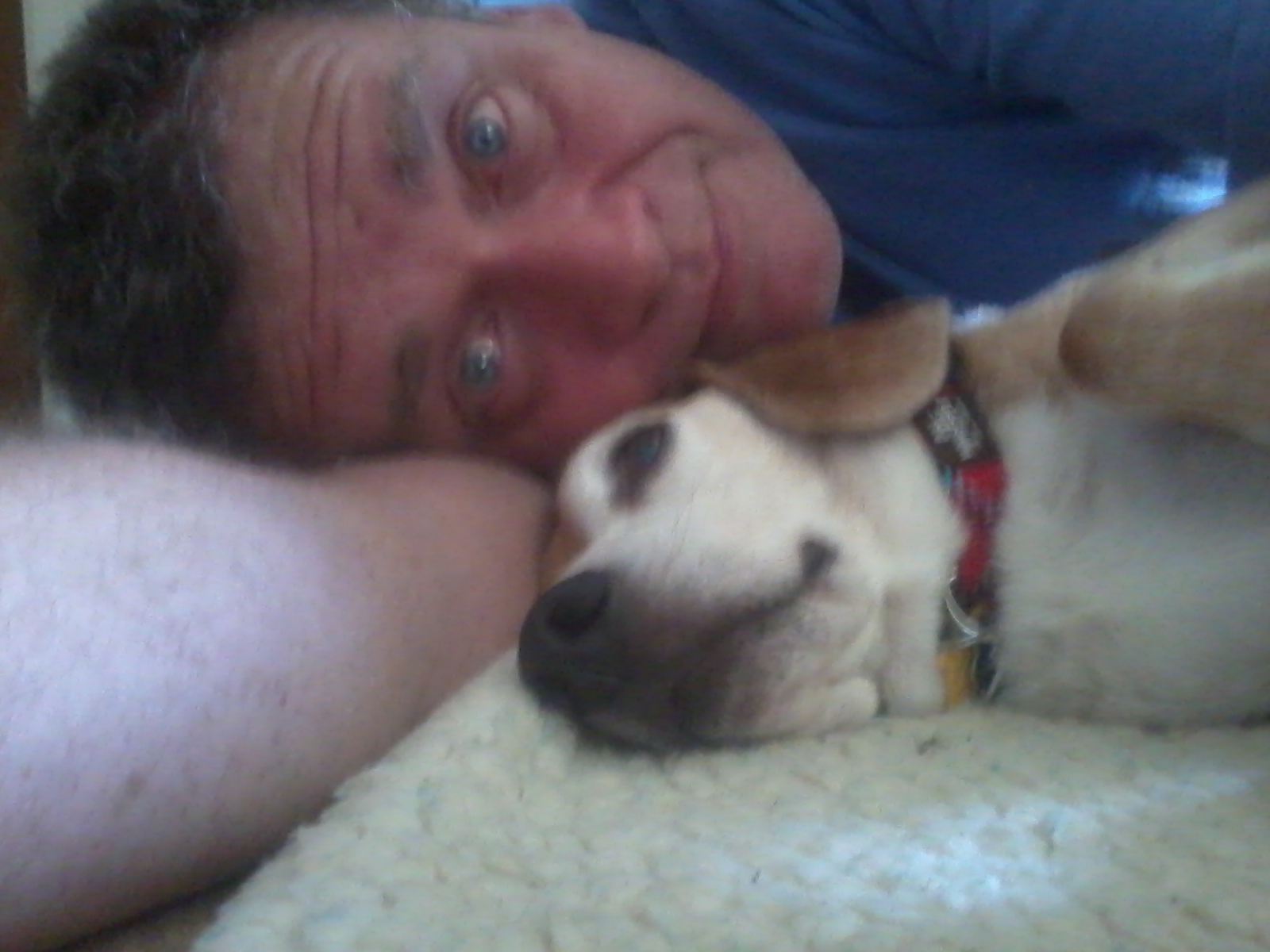 What to expect when you bring your adopted dog home Download Dog