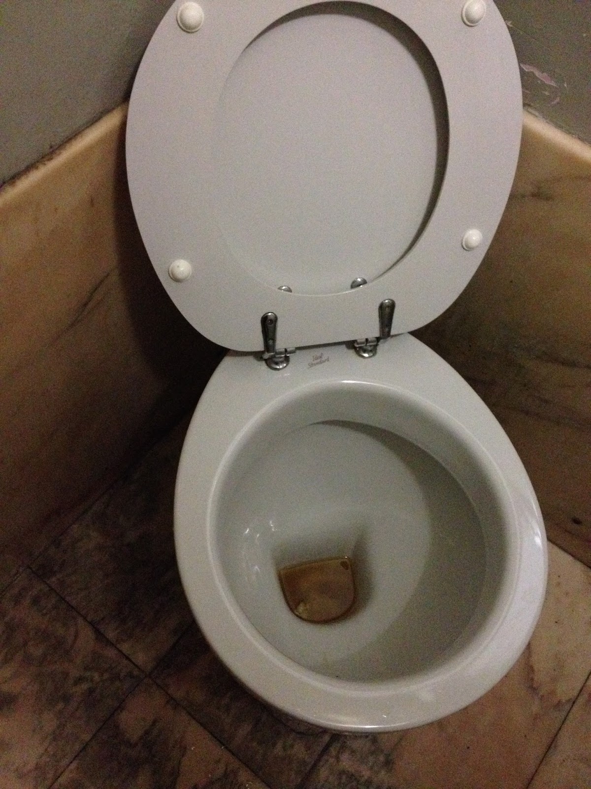 Six Decades and Counting...Life Reinvented Toilet Talk