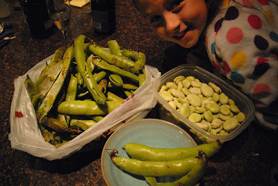 Fava Beans Recipe