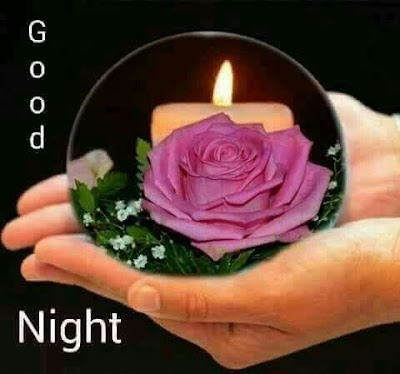 good night good night