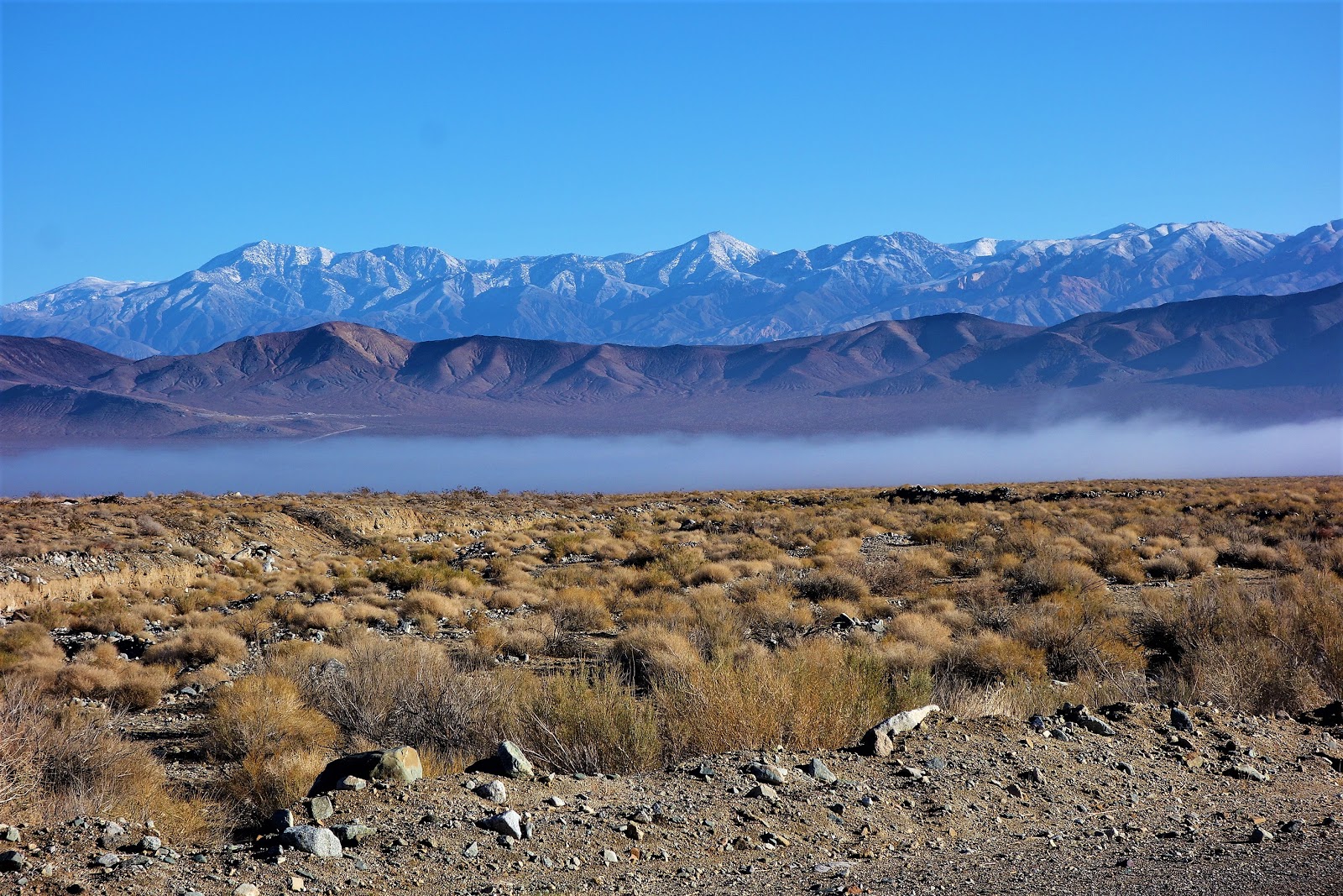 Roland Sturm January 2019